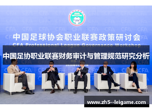 中国足协职业联赛财务审计与管理规范研究分析 中国足协职业联赛财务审计与管理规范研究分析