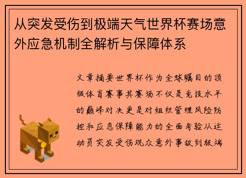 从突发受伤到极端天气世界杯赛场意外应急机制全解析与保障体系 从突发受伤到极端天气世界杯赛场意外应急机制全解析与保障体系